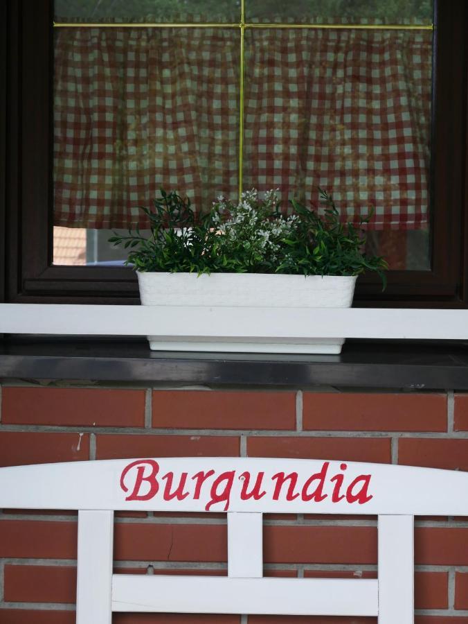 Niewinne Domki - Burgundia Żywiec Eksteriør bilde